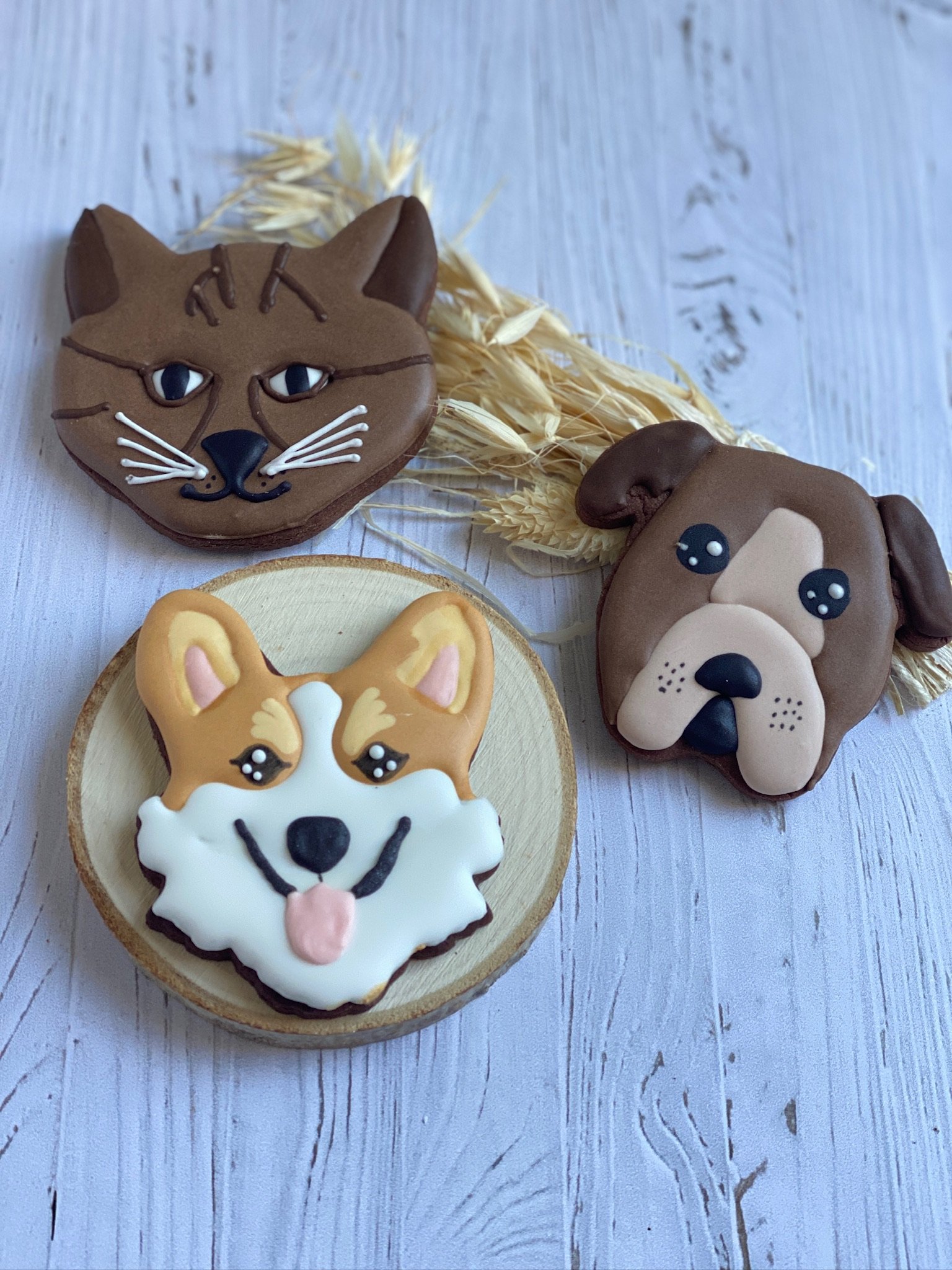Biscuits décorés sur-mesure en forme de museaux de chien et de chat
